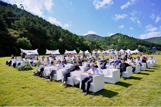 三大世界性文化机构携手落户 大唐鹿野苑开启文旅挽救新篇章